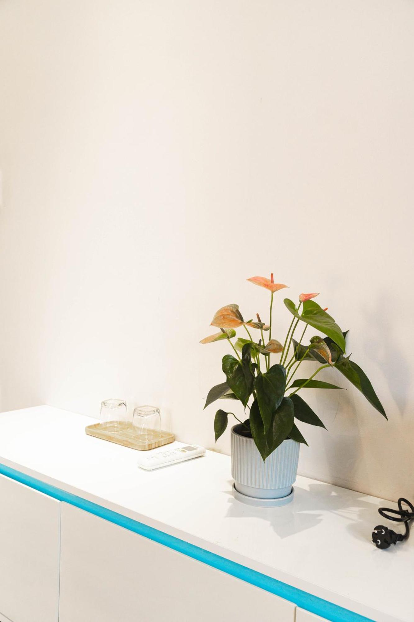 Shalom House _ Bao Loc Hotel ภายนอก รูปภาพ