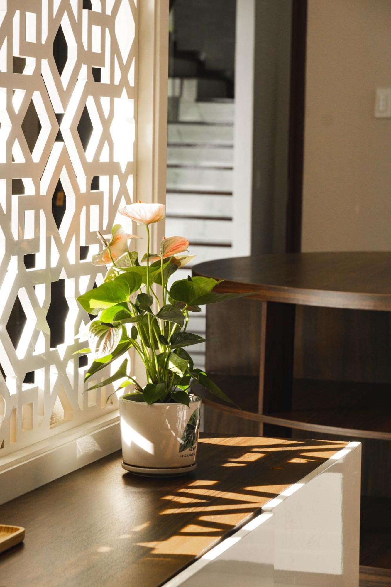 Shalom House _ Bao Loc Hotel ภายนอก รูปภาพ