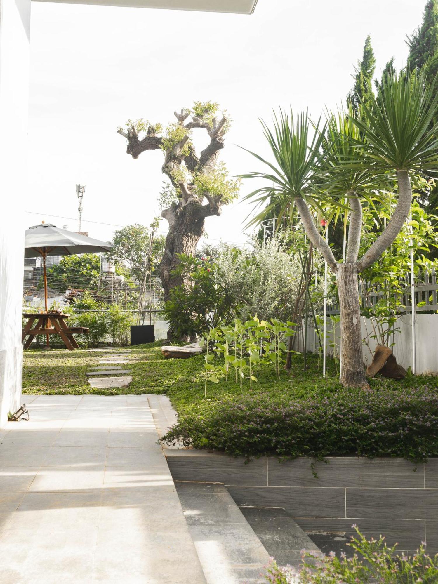 Shalom House _ Bao Loc Hotel ภายนอก รูปภาพ