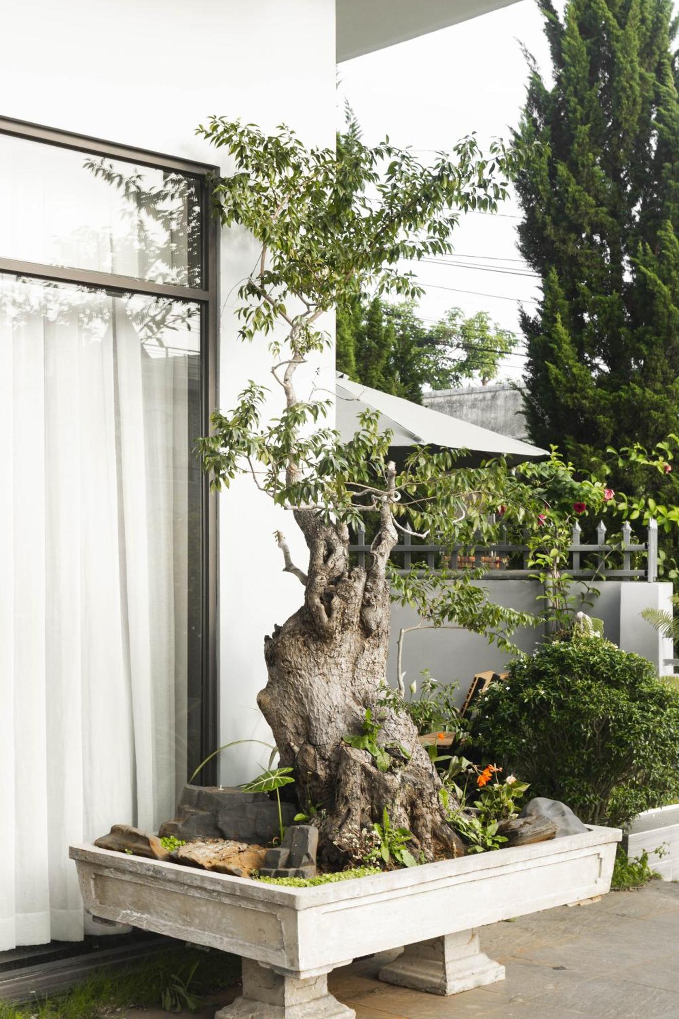 Shalom House _ Bao Loc Hotel ภายนอก รูปภาพ